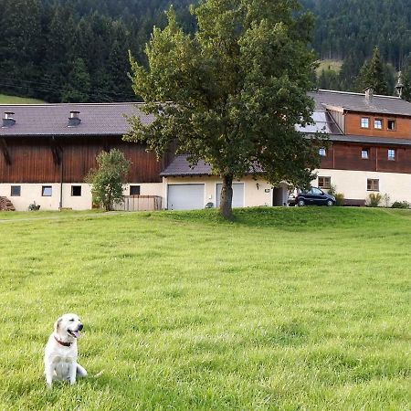 Kiblerhof Apartment Russbach am Pass Gschütt Exterior photo
